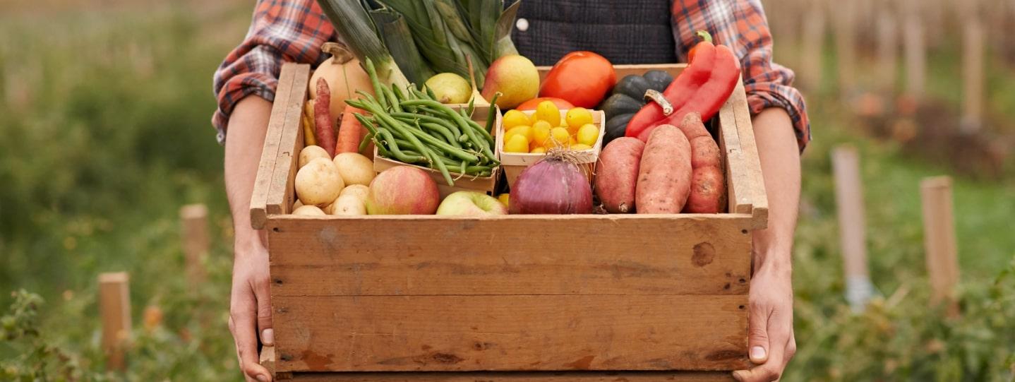 Качественные продукты от производителей